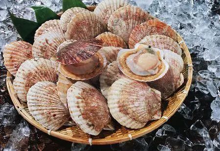 全世界最有营养100种食物排行榜,最有营养食物100种