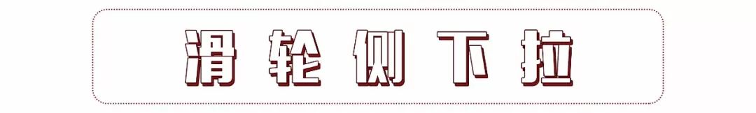 鲨鱼线马甲线,马甲线鲨鱼线