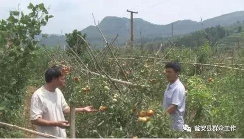 最新网箱拆除消息,如何解决网箱拆除之后生态问题