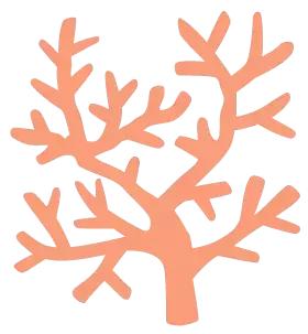 跟团旅游三天二晚阳西沙扒湾,马尔代夫阳西沙扒湾