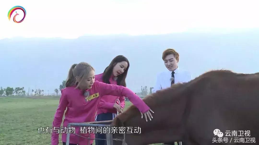 双胞胎潇洒骑马,双胞胎骑行川藏线