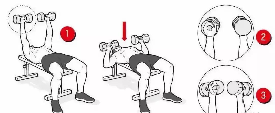 40-50岁用哑铃增肌训练方法,学生暑假健身增肌计划无哑铃