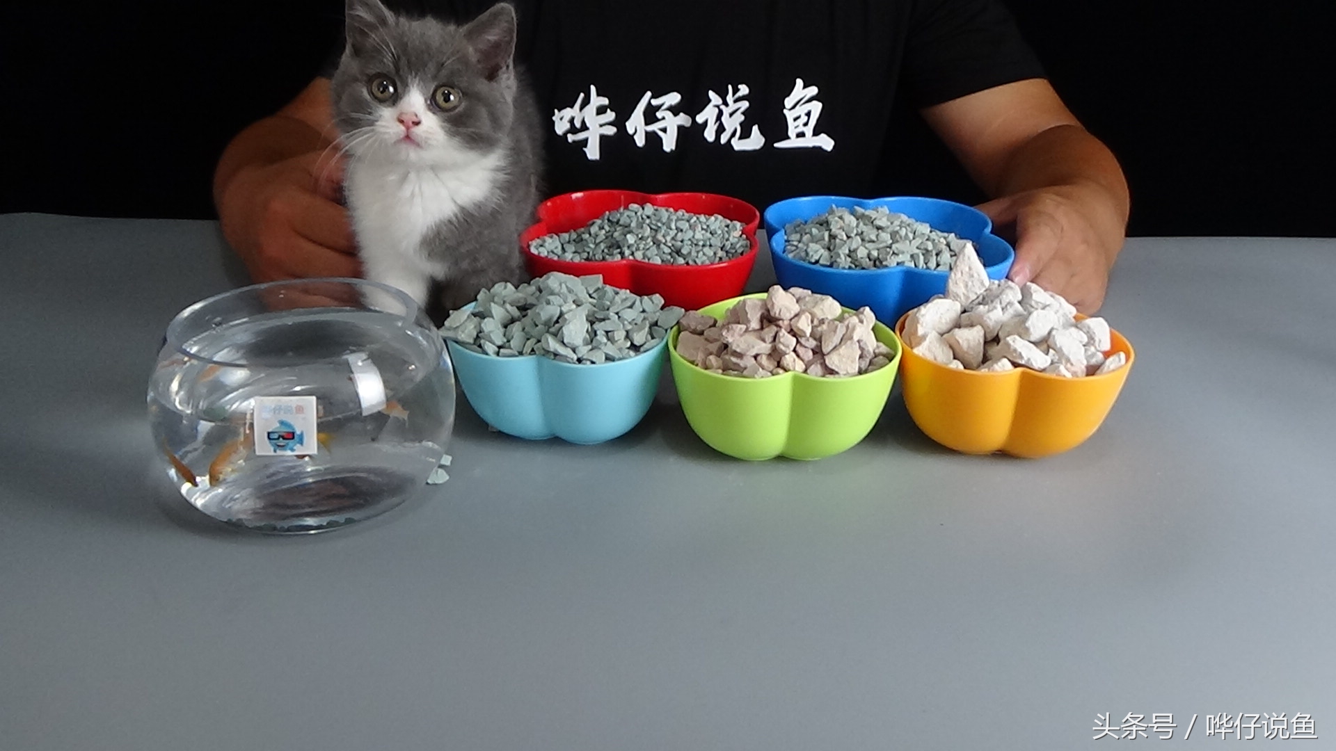 鱼缸老三样怎么用,鱼缸老三样指的是什么盐