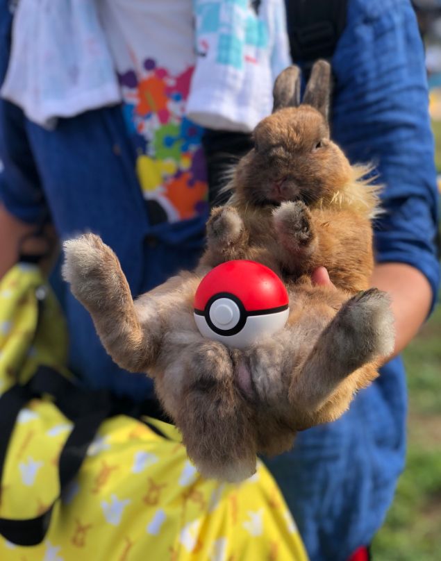 国产擦边球游戏上架Steam，阿宅盛会C94今日开场