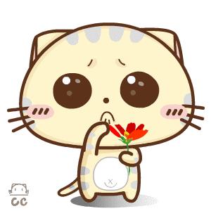 「聚焦」快递不小心丢失或损毁，谁来为此买单？怎么买单？