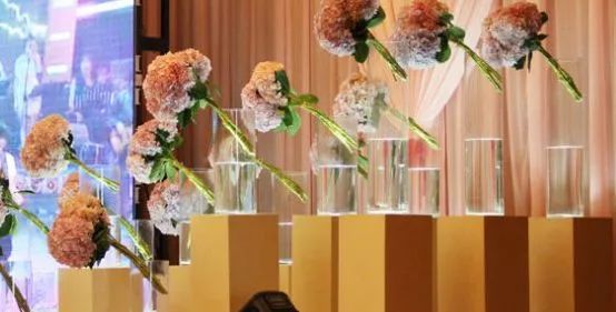 银柳插花颜色搭配教程,插花技巧花艺色彩搭配