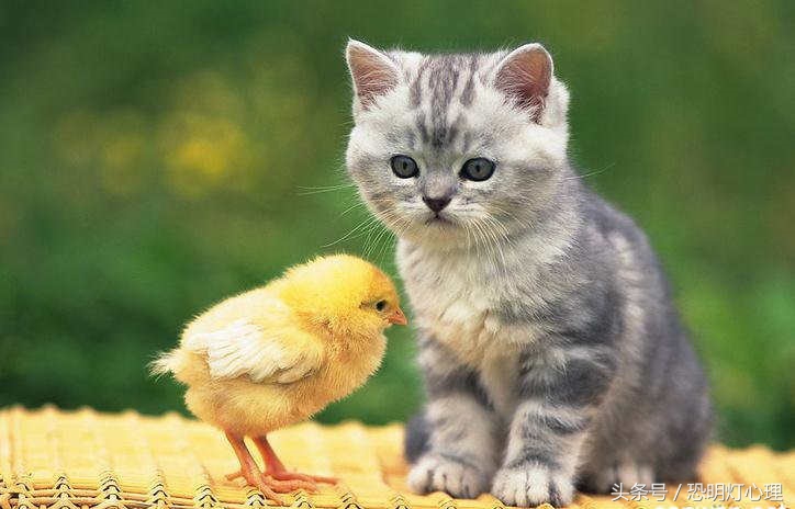 如何消除恐艾症最有效的方法,恐艾症和艾滋病急性期症状一样吗