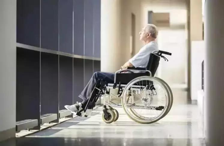 荷兰有个“楚门的世界”，一群*子骗**在干这件事，真相却让人泪目