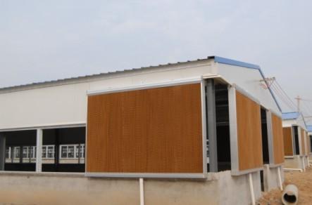 冬天大猪小猪怕冷怎么办,小猪低温的原因和解决方法