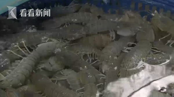 被虾刺了的老头,大叔被虾刺到