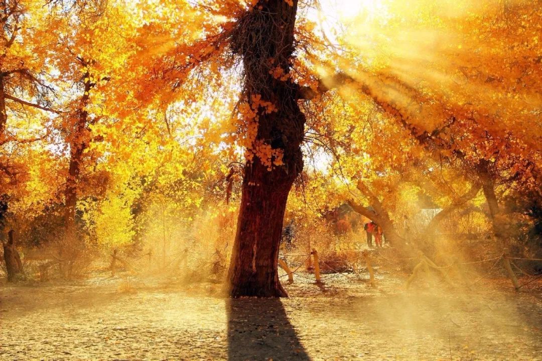 国庆去广州旅游酒店推荐,国庆十天旅游推荐