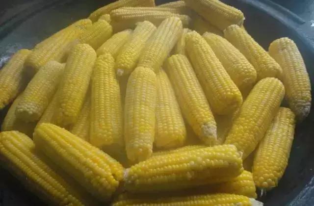 东北特产美食大苞米,安徽特产苞米