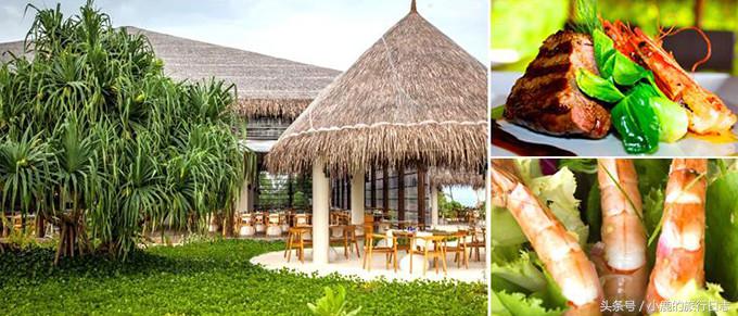 马尔代夫游记可可尼岛,马尔代夫可可亚岛旅游攻略