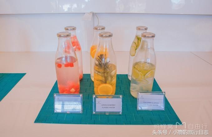 马尔代夫游记可可尼岛,马尔代夫可可亚岛旅游攻略