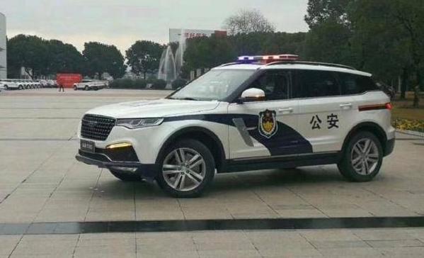 当国产车披上警车制服，网友：奥拓很可爱，吉利很帅气！
