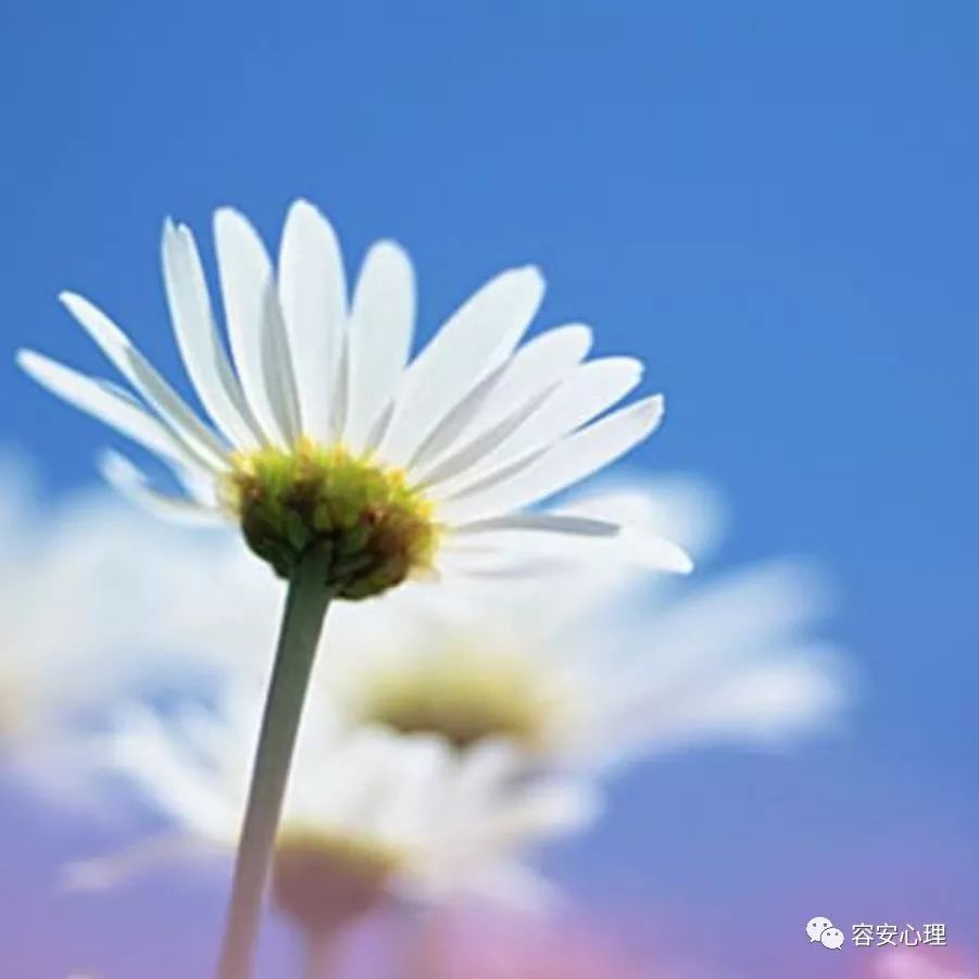 为什么别人要挑拨我的人际关系呢,为什么有些人在背后喜欢挑拨离间