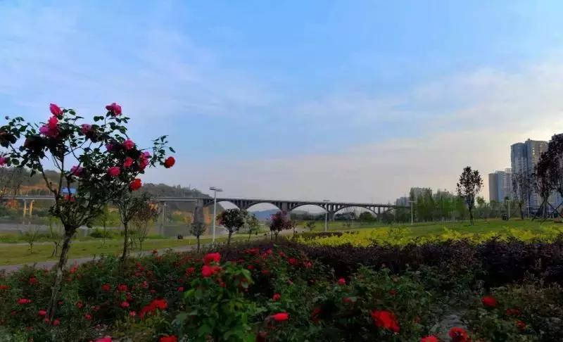 谁说三排不如单排,三台县城哪个区好