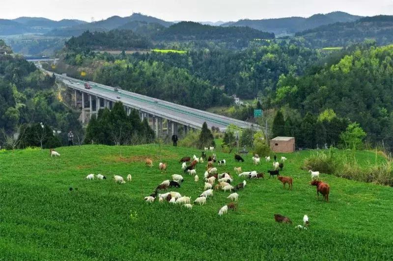 谁说三排不如单排,三台县城哪个区好