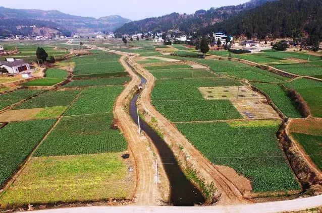 谁说三排不如单排,三台县城哪个区好