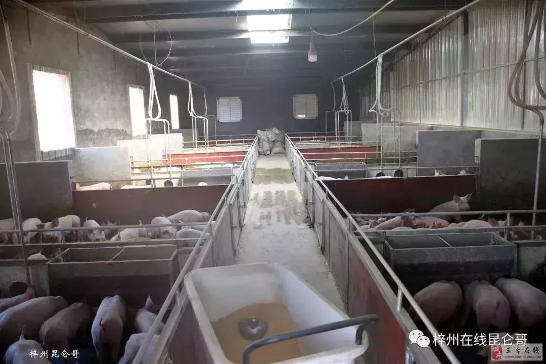 谁说三排不如单排,三台县城哪个区好