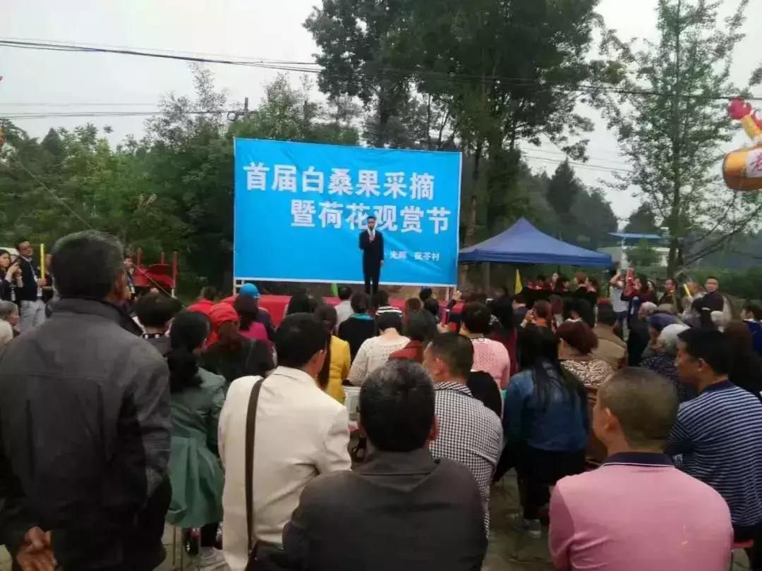 谁说三排不如单排,三台县城哪个区好