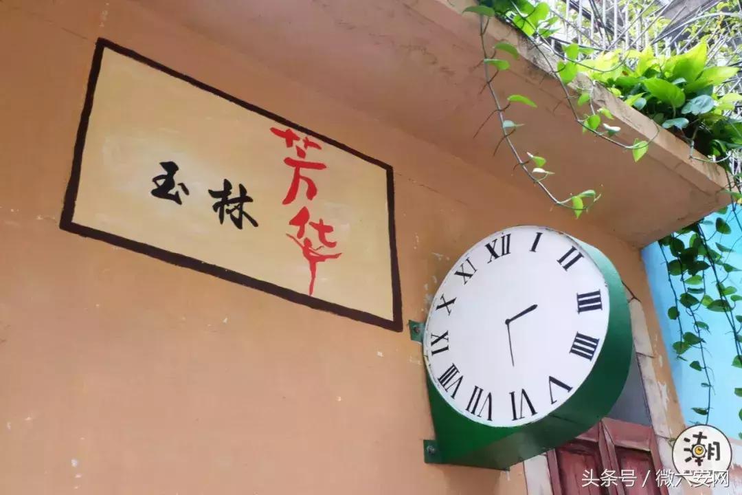 一条不足300米的林荫小巷，成为“小酒馆”后玉林的另一打卡地！