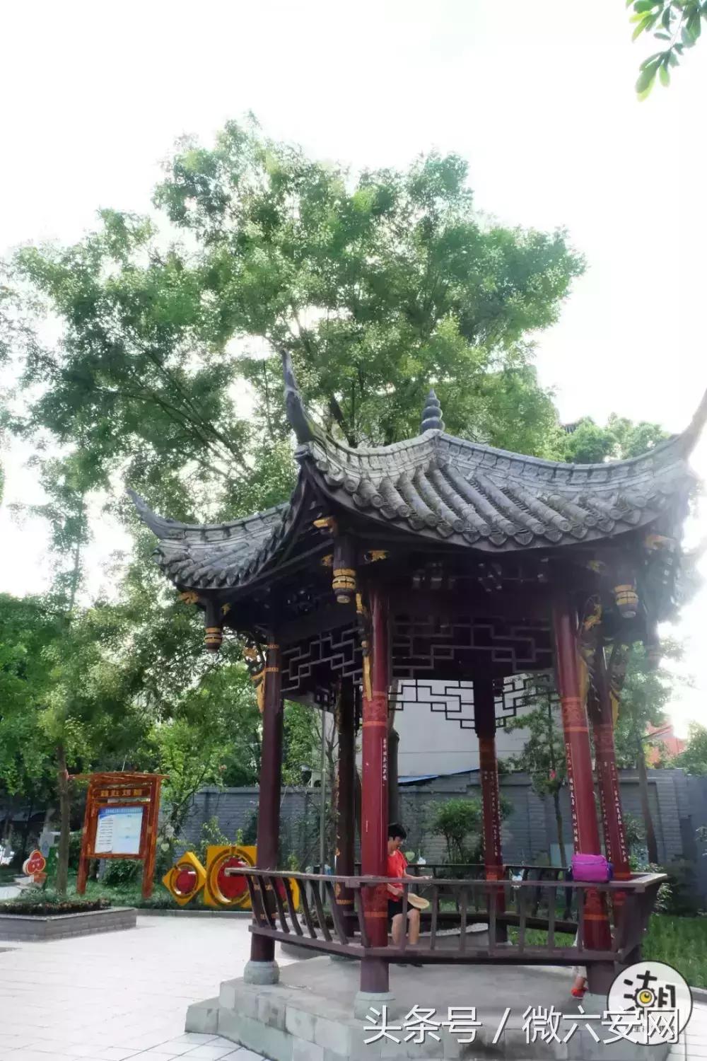 一条不足300米的林荫小巷，成为“小酒馆”后玉林的另一打卡地！