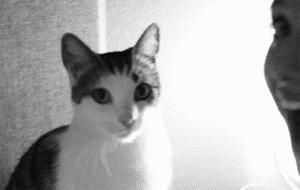 肠胃不好大便干口臭怎么办,肠胃不好口臭除根的最好方法