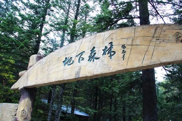 长白山滑雪旅游攻略及详细费用,沈阳到长白山自驾旅游攻略