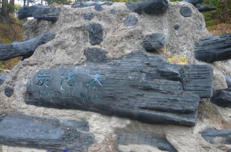 长白山滑雪旅游攻略及详细费用,沈阳到长白山自驾旅游攻略