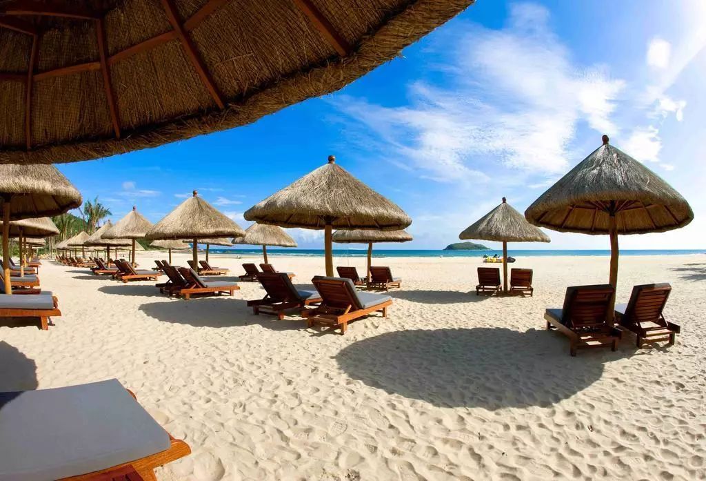 七夕撒狗粮,七夕撒狗粮全集