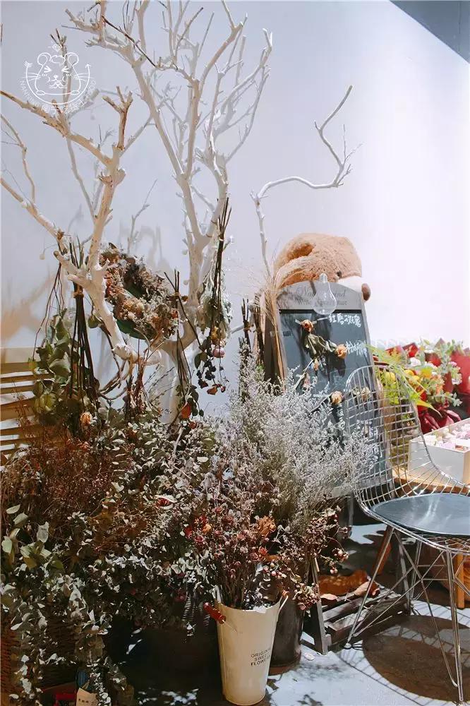 北半球颜值zui高的表白神器！心和胃都沦陷了！