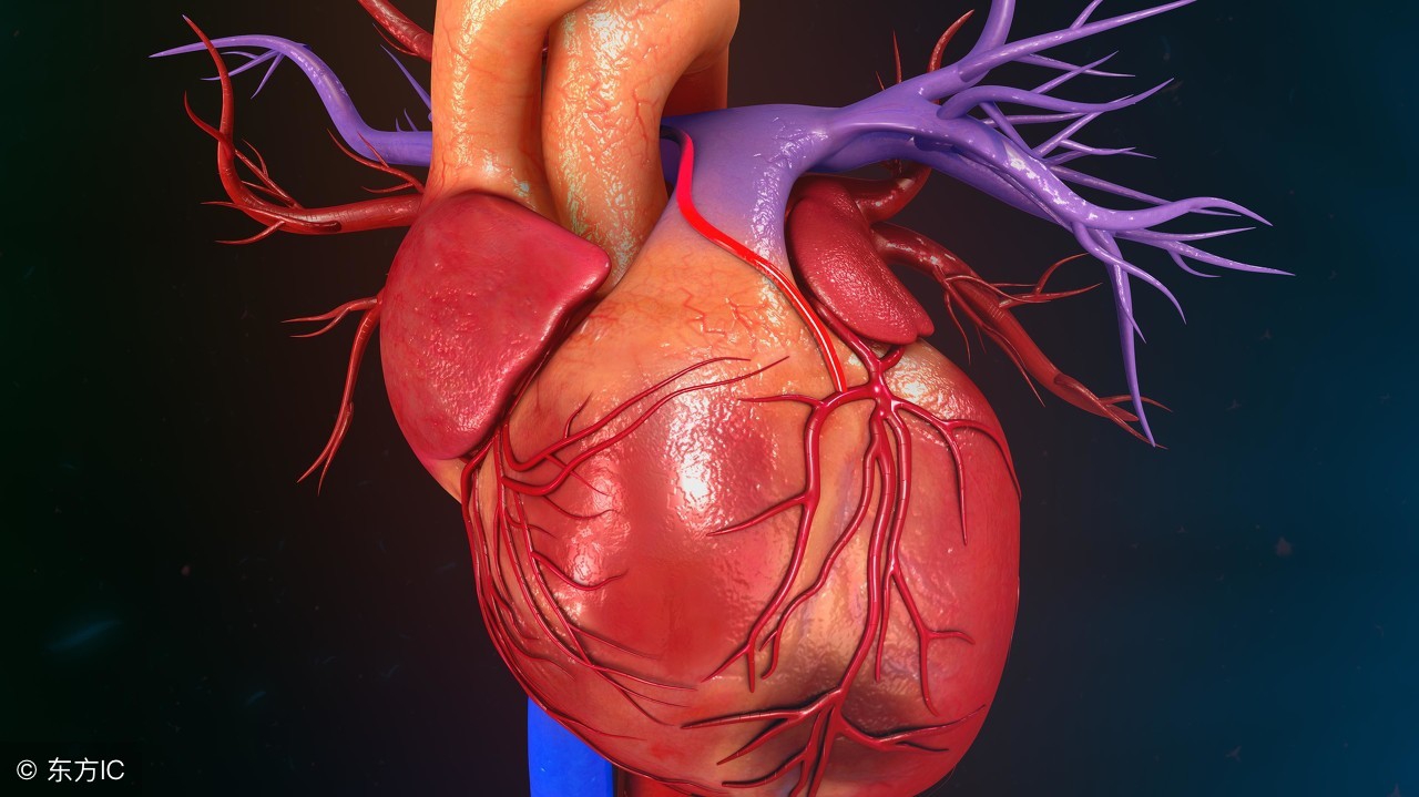 心肌梗塞规范救治流程,遇到心肌梗塞的病人如何现场急救