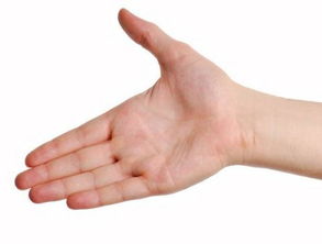 面相和手相哪个更准,八字上看面相手相准吗女