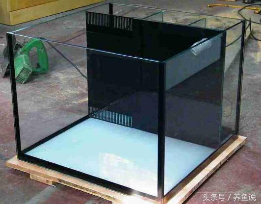 鱼缸水浑浊是过滤系统坏了吗,为什么鱼缸里的水浑浊