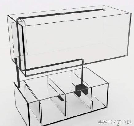 鱼缸水浑浊是过滤系统坏了吗,为什么鱼缸里的水浑浊