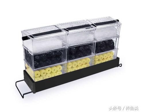 鱼缸水浑浊是过滤系统坏了吗,为什么鱼缸里的水浑浊