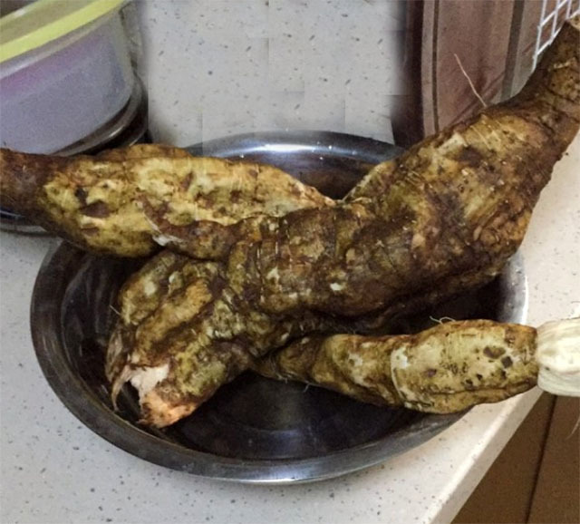 别嫌它丑，却是“天然荷尔蒙”，女人经常吃一点，保养子宫防衰老