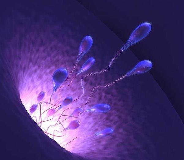 精子进入女人体内没有“受精”，去哪了呢？看完你就明白了