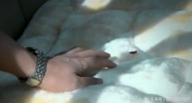 蜗居海藻对宋思明的看法,蜗居最后宋思明为何不来见海藻