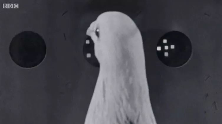 鎵嬫満绛夌數瀛愪骇鍝佺殑鍗卞,鎵嬫満瀵圭數瀛愪骇鍝佺殑鍗卞