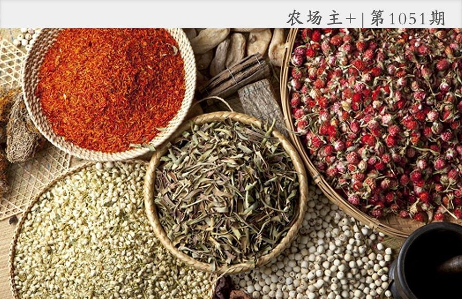 有趣的中药，你认识几种？