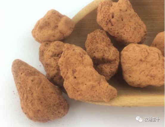 有趣的中药，你认识几种？