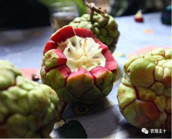 有趣的中药，你认识几种？