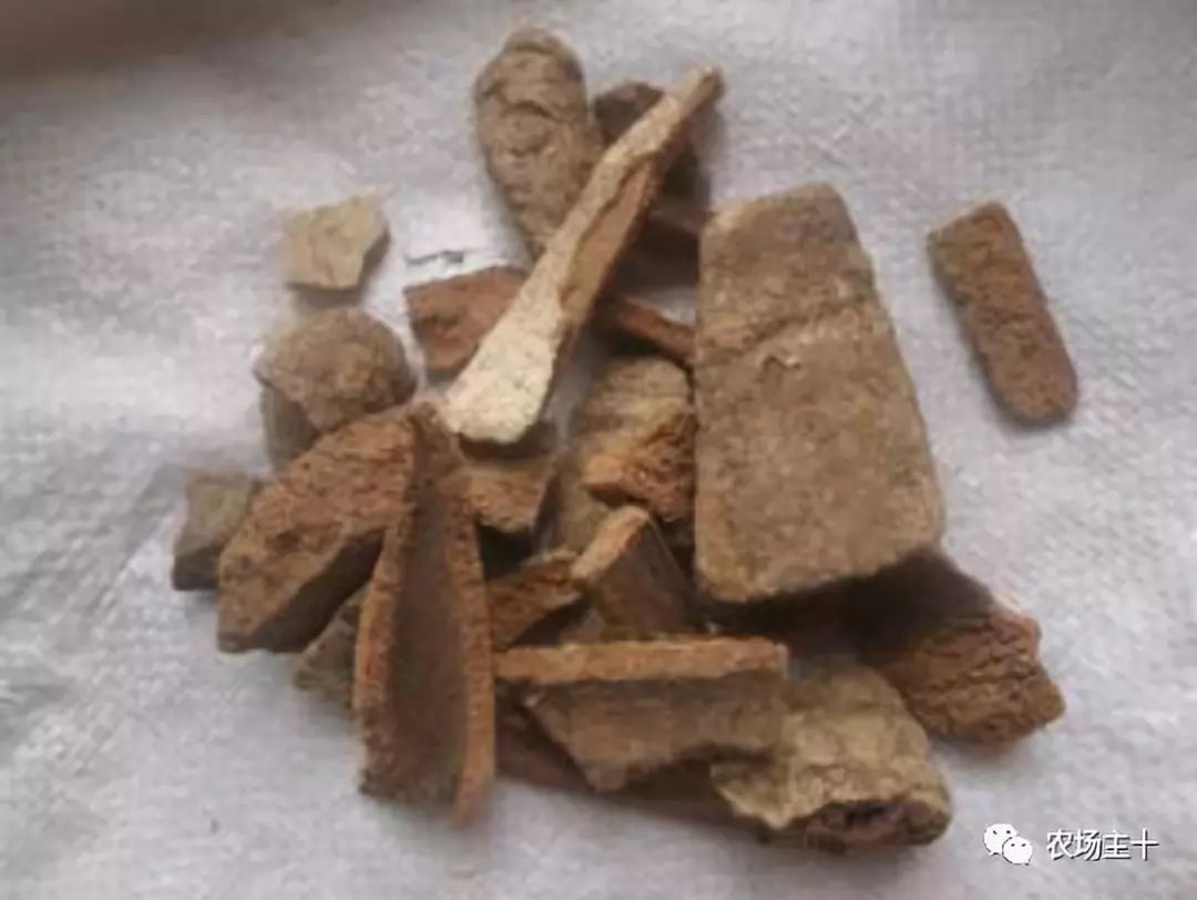 有趣的中药，你认识几种？