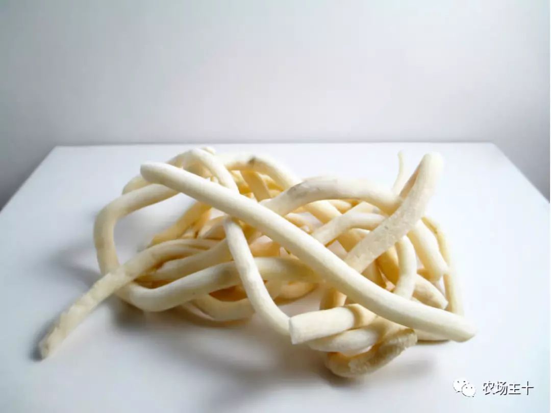 有趣的中药，你认识几种？