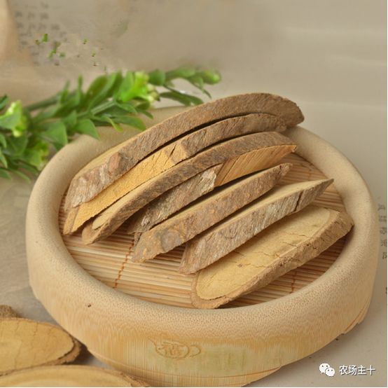 有趣的中药，你认识几种？