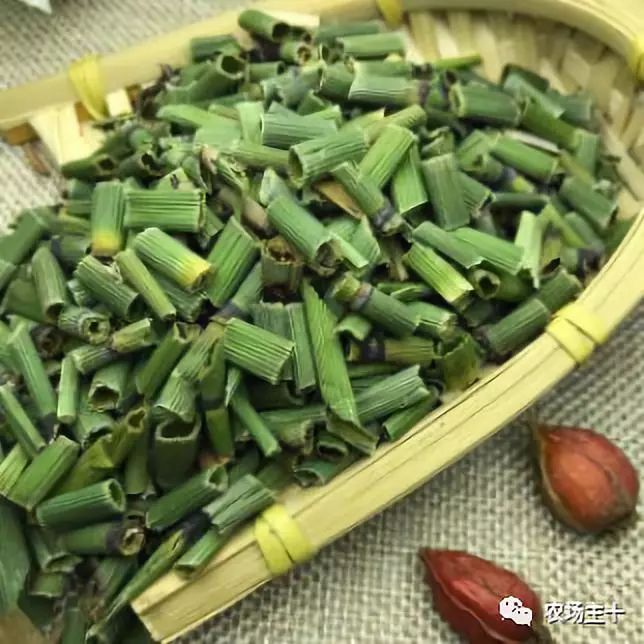 有趣的中药，你认识几种？