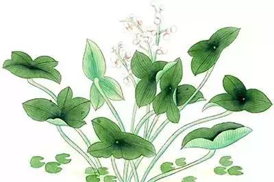 蒲草花样做法视频,蒲草做手工制作大全