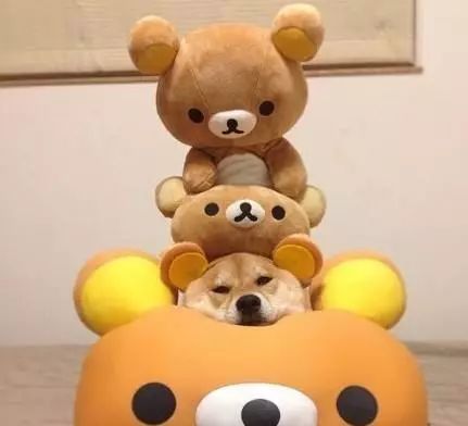 二次元必须知道的几个梗,二次元都有什么好笑的梗